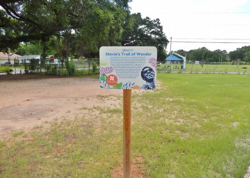 Stevie's Trail of Wonder Marker image. Click for full size.