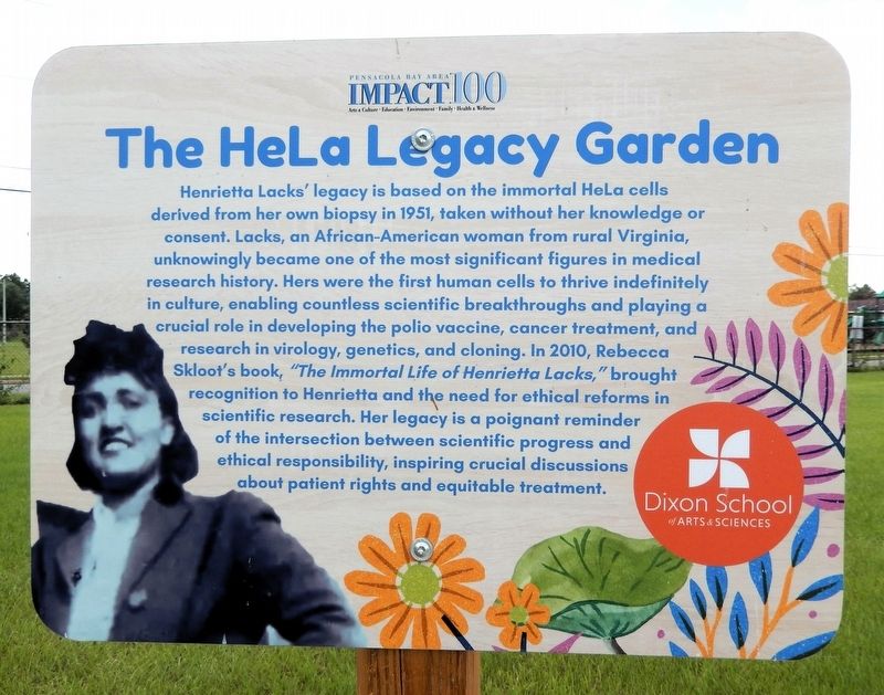The HeLa Legacy Garden Marker. Click for full size. The HeLa Legacy Garden Marker image. Click for full size.