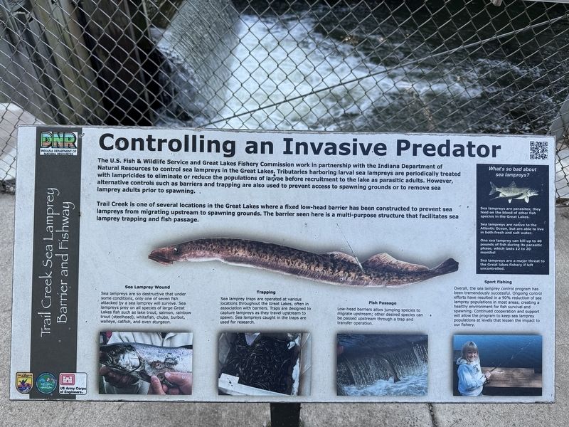 Controlling an Invasive Predator Marker. Click for full size. Controlling an Invasive Predator Marker image. Click for full size.