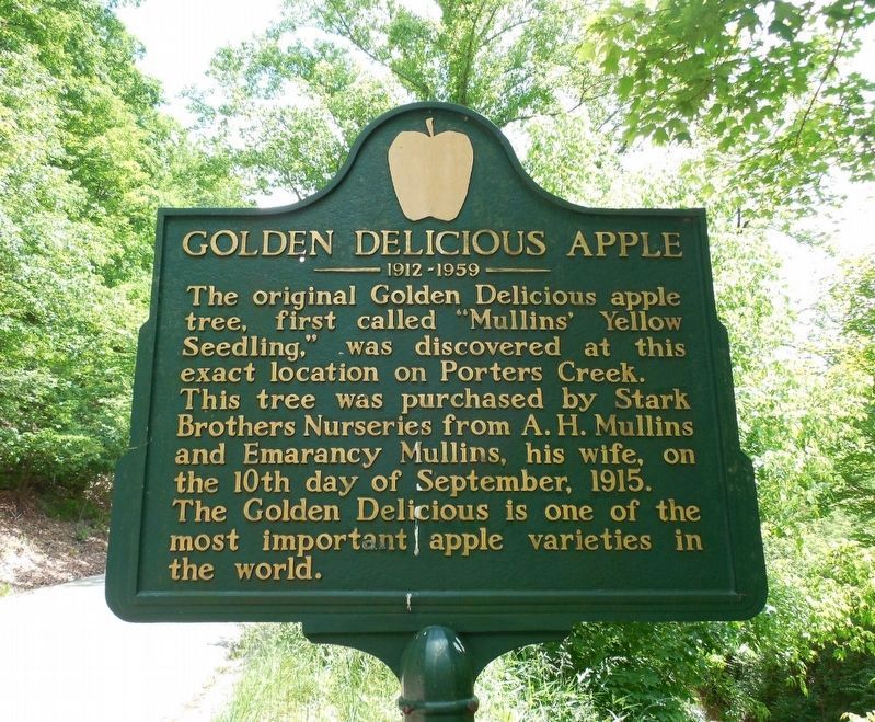 Golden Delicious Apple Marker. Click for full size. Golden Delicious Apple Marker image. Click for full size.