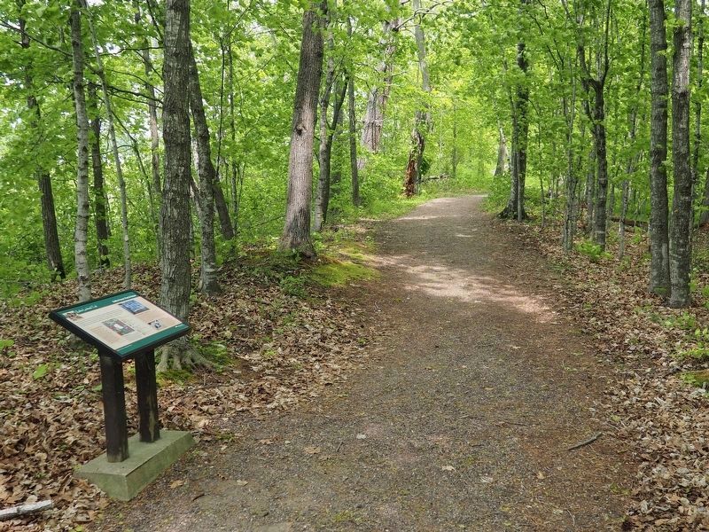 Kathio Forest: Past & Future Marker on the Kathio Landmark Trail image. Click for full size.