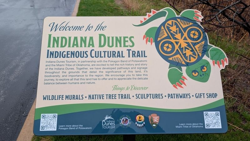 Indiana Dunes Indigenous Cultural Trail Introductory Marker. Click for full size. Indiana Dunes Indigenous Cultural Trail Introductory Marker image. Click for full size.