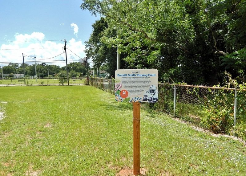Emmitt Smith Playing Field Marker. Click for full size. Emmitt Smith Playing Field Marker image. Click for full size.