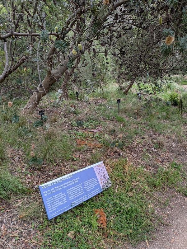 Victoria's Grassy Woodland Marker in the Gardens. Click for full size. Victoria's Grassy Woodland Marker in the Gardens image. Click for full size.