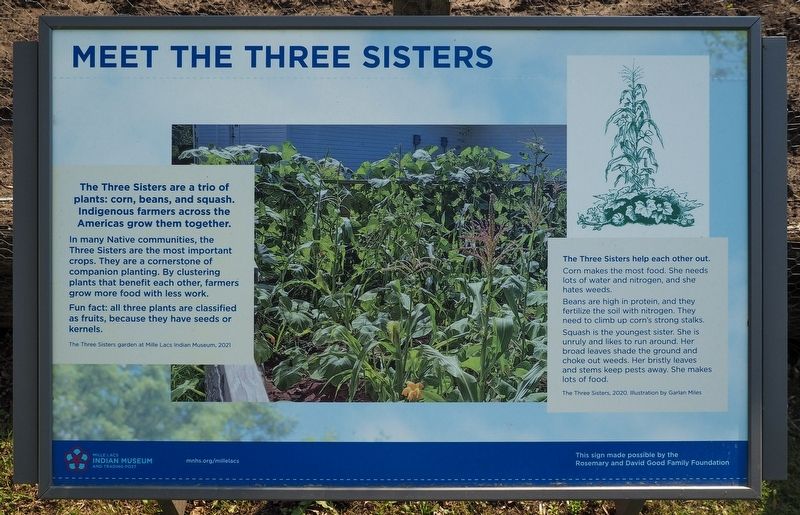 Meet the Three Sisters Marker. Click for full size. Meet the Three Sisters Marker image. Click for full size.