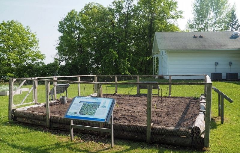 Meet the Three Sisters Marker on the northeast side of the demonstration garden. Click for full size. Meet the Three Sisters Marker on the northeast side of the demonstration garden image. Click for full size.