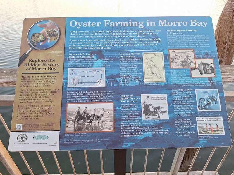 Oyster Farming in Morro Bay Marker image. Click for full size.