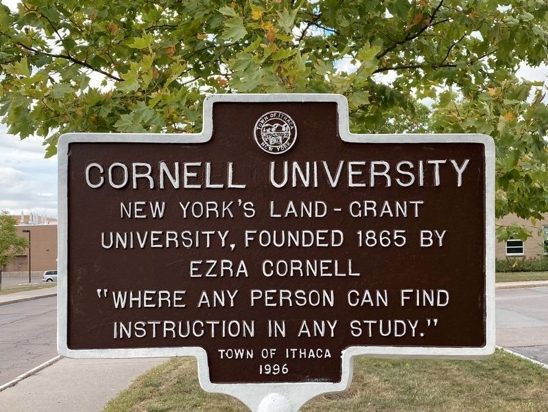 Cornell University Marker - Repainted Brown image. Click for full size.