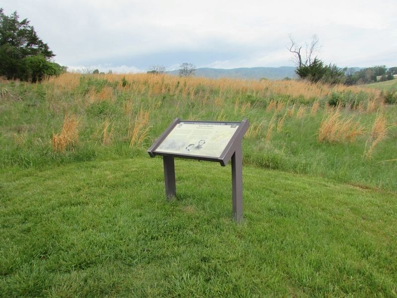 Eve of Battle Marker. Click for full size. Eve of Battle Marker image. Click for full size.