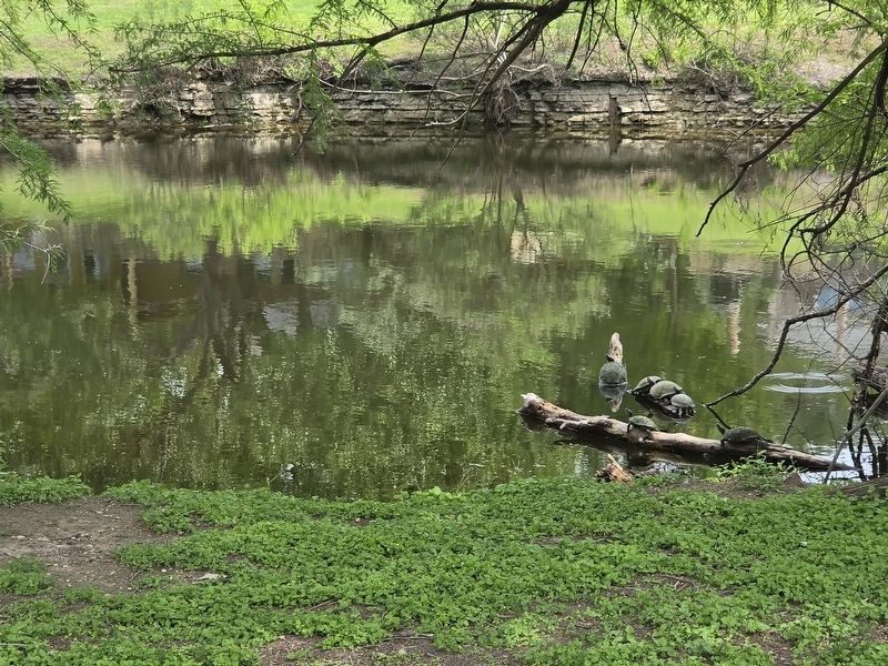Cibolo Creek Marker image. Click for full size.
