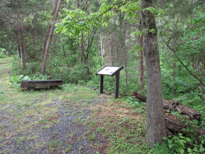 Marker on Fisher's Hill Battlefield hiking trail. Click for full size. Marker on Fisher's Hill Battlefield hiking trail image. Click for full size.