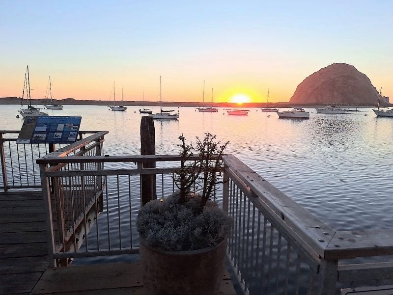 Oyster Farming in Morro Bay Marker image. Click for full size.