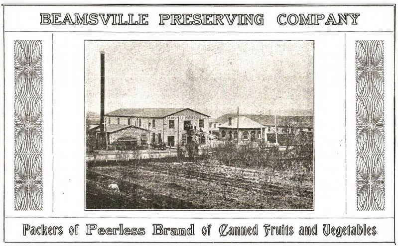 Advertisement for the Beamsville Preserving Company ca 1910. Click for full size. Advertisement for the Beamsville Preserving Company ca 1910 image. Click for full size.