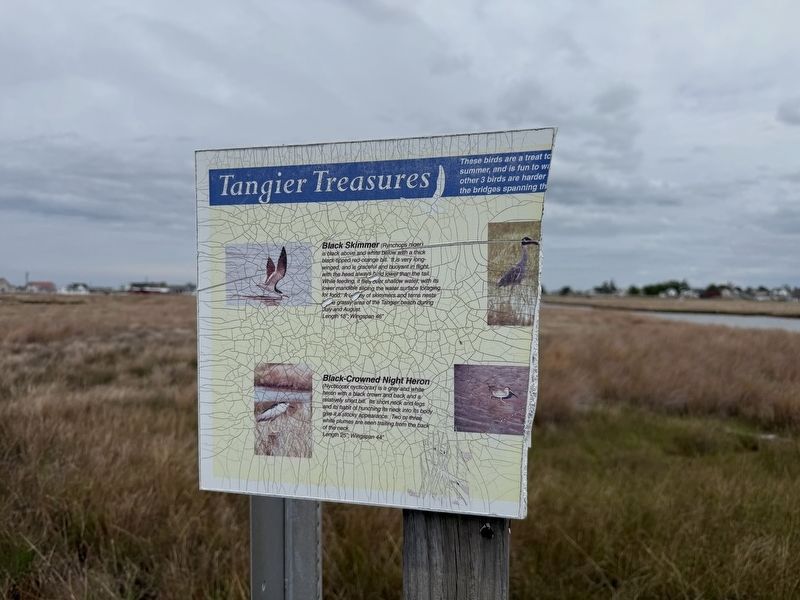 Tangier Treasures Marker image. Click for full size.