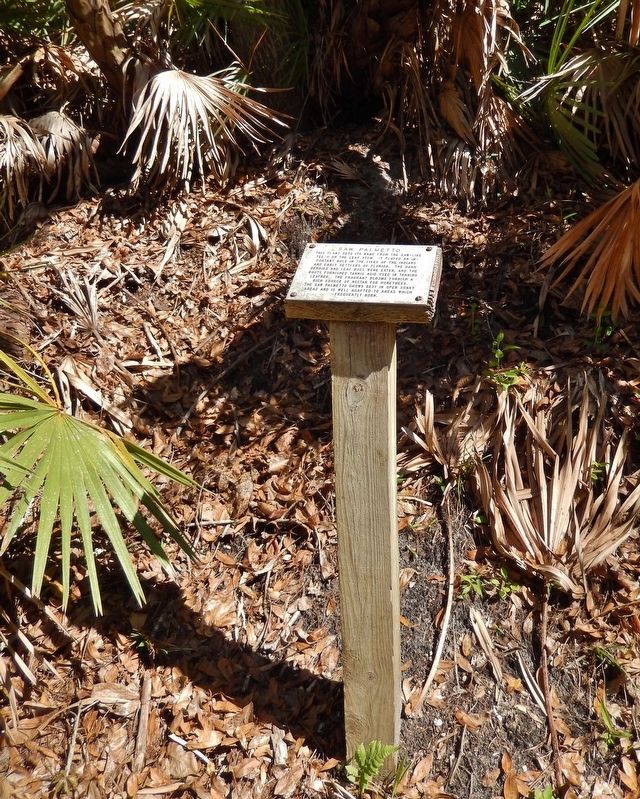 Saw Palmetto Marker image. Click for full size.