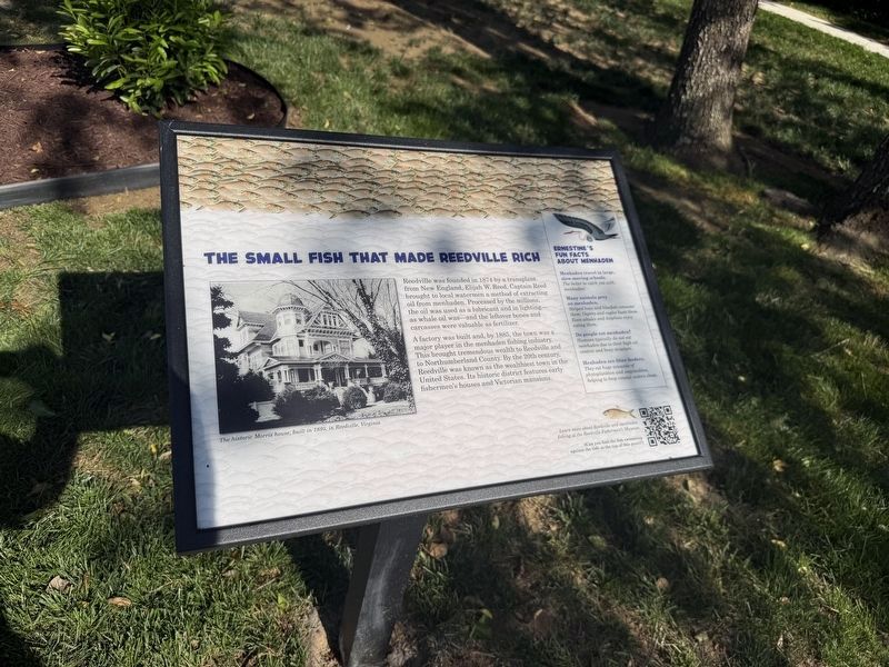 The Small Fish that Made Reedville Rich Marker. Click for full size. The Small Fish that Made Reedville Rich Marker image. Click for full size.