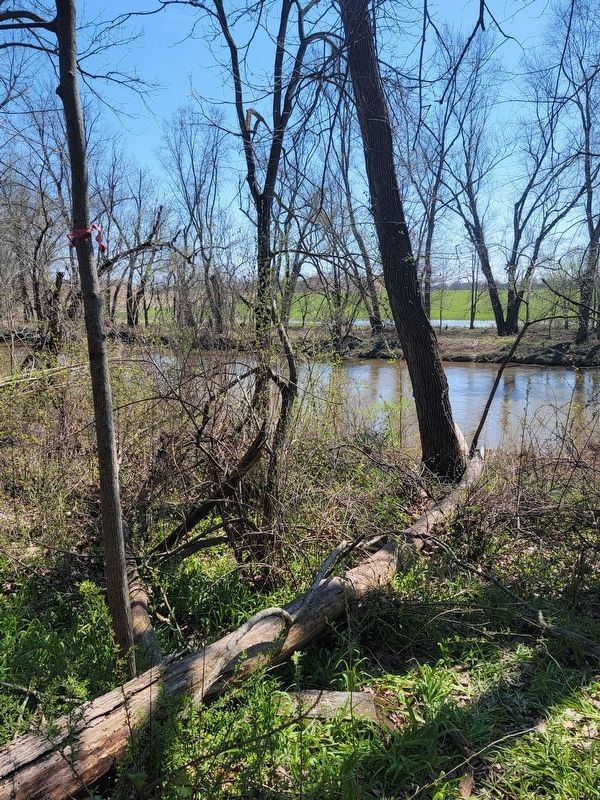 Marker under a fallen tree, overlooking the Tuscarawas River image. Click for full size.