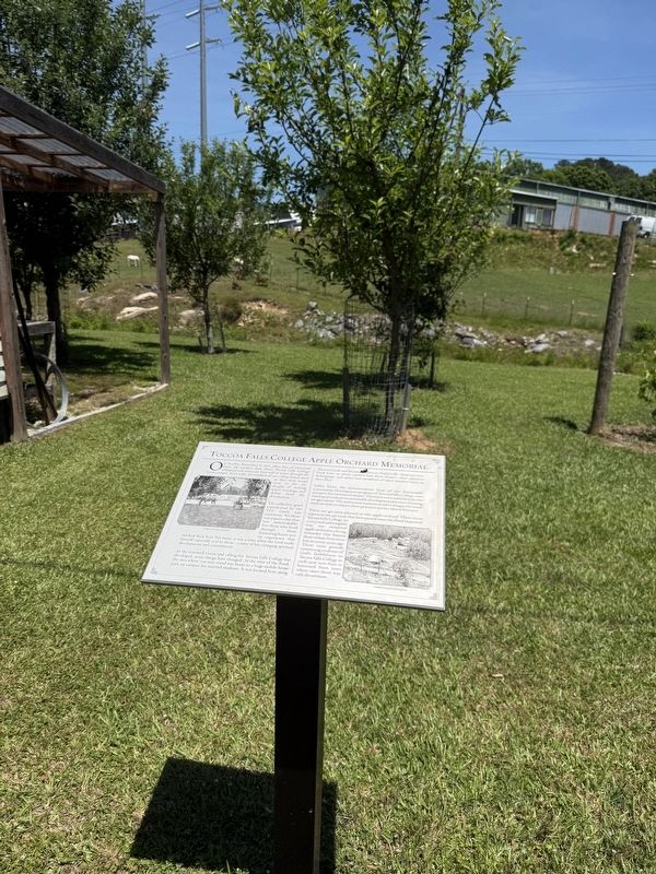 Toccoa Falls College Apple Orchard Memorial. Click for full size. Toccoa Falls College Apple Orchard Memorial image. Click for full size.