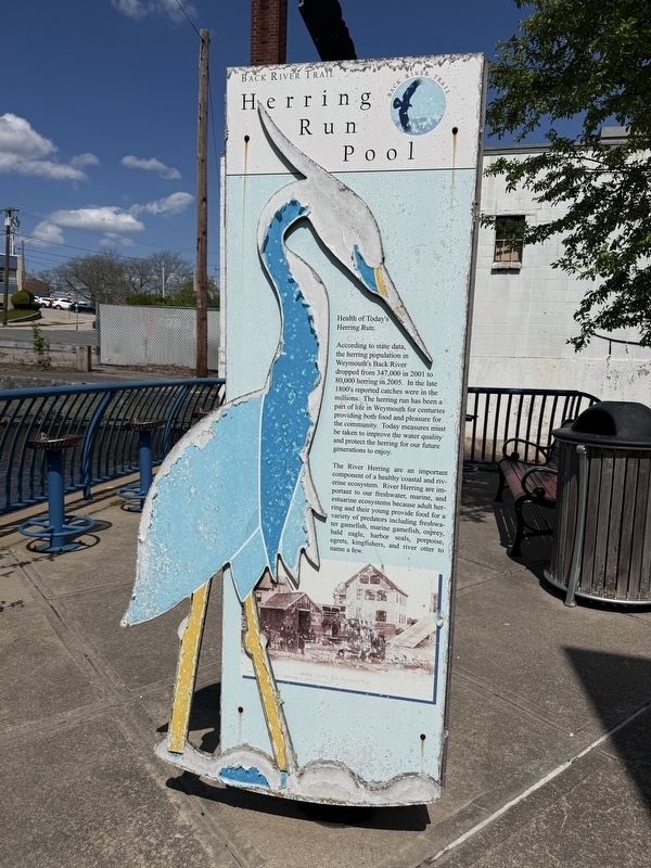 Herring Run Pool Marker image. Click for full size.