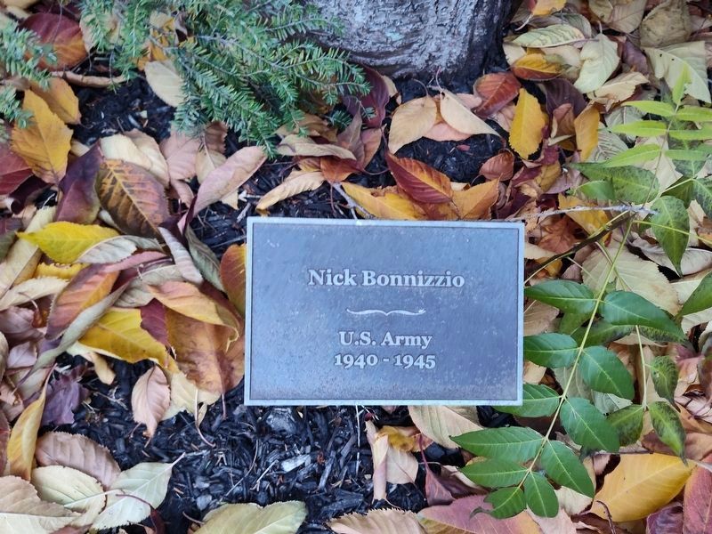 Nick Bonnizzio. Click for full size. Nick Bonnizzio image. Click for full size.