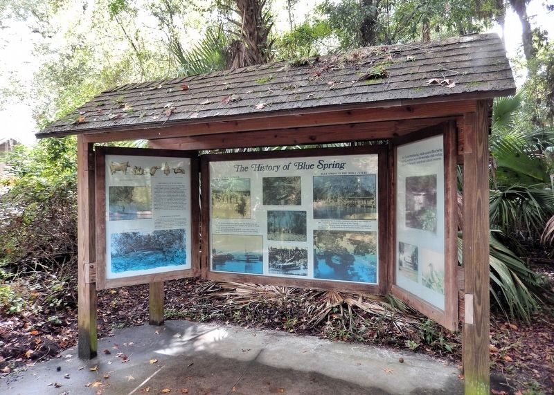 The History of Blue Spring Interpretive Kiosk. Click for full size. The History of Blue Spring Interpretive Kiosk image. Click for full size.