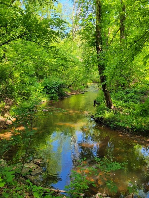 Sycamore Creek image. Click for full size.
