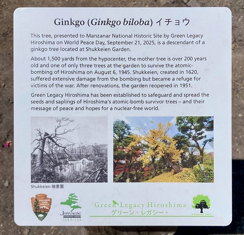 Ginkgo Marker. Click for full size. Ginkgo Marker image. Click for full size.