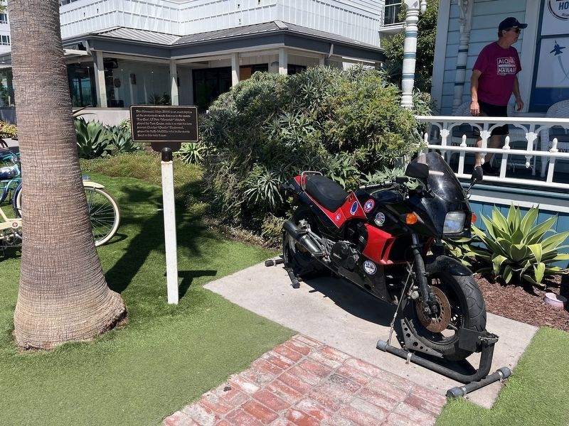 Kawasaki Ninja ZX900 and Marker image. Click for full size.