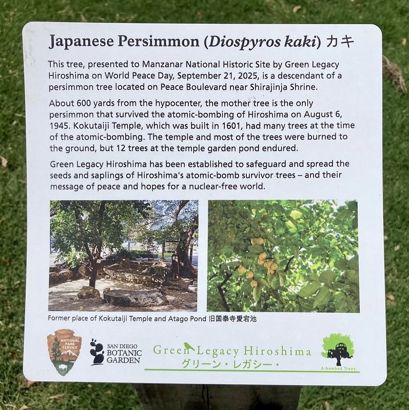 Japanese Persimmon Marker. Click for full size. Japanese Persimmon Marker image. Click for full size.