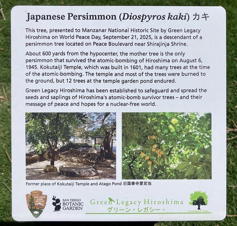 Japanese Persimmon Marker. Click for full size. Japanese Persimmon Marker image. Click for full size.
