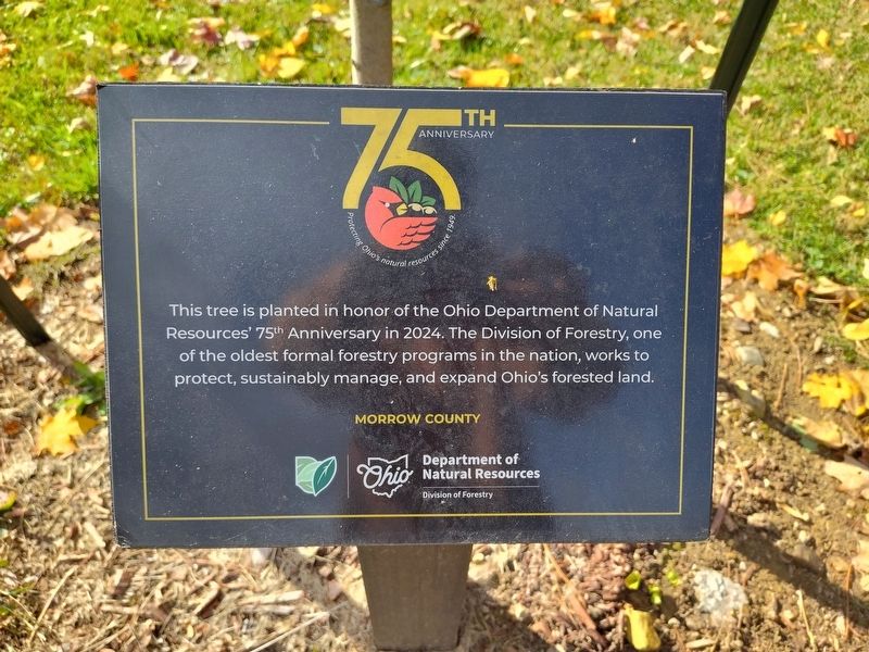 Ohio Department of Natural Resources 75th Anniversary Marker image. Click for full size.