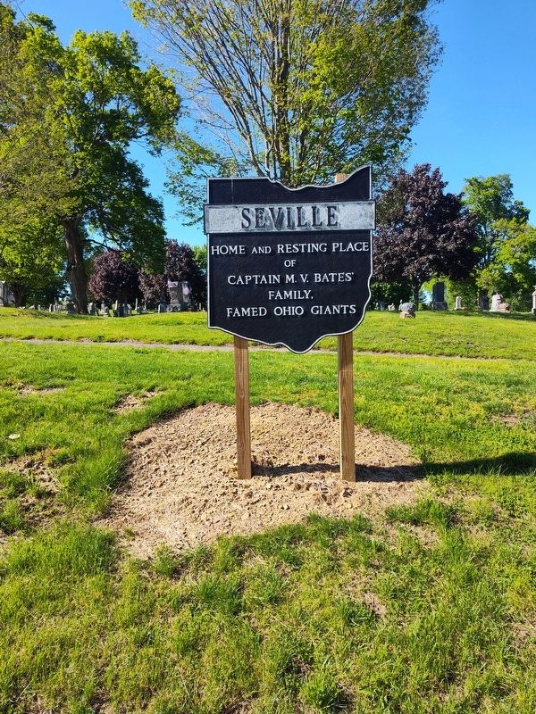 Seville Marker. Click for full size. Seville Marker image. Click for full size.