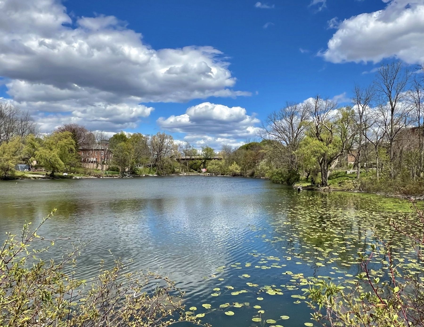 Shadow Lake (mill pond), facing toward the Main Street Bridge, 2026 image. Click for full size.