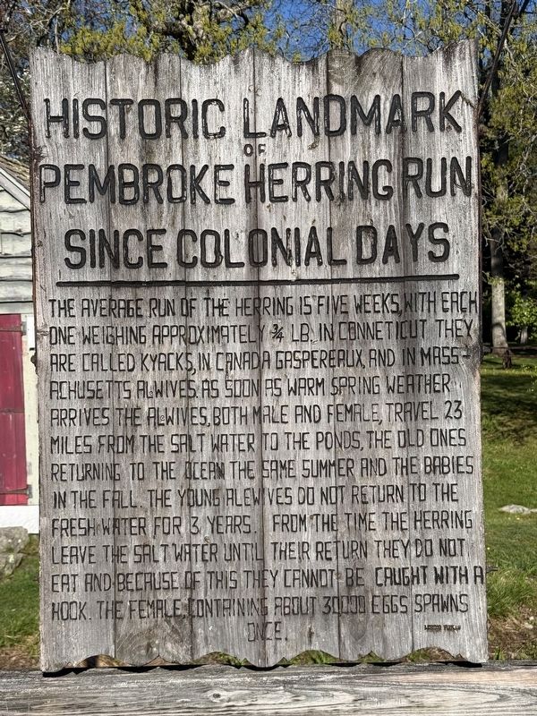 Historic Pembroke Herring Run Marker image. Click for full size.