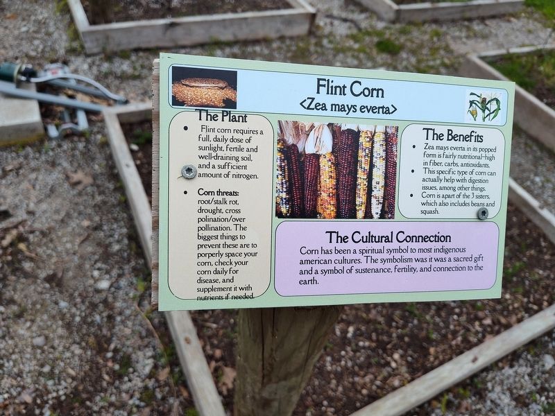 Flint Corn Marker. Click for full size. Flint Corn Marker image. Click for full size.