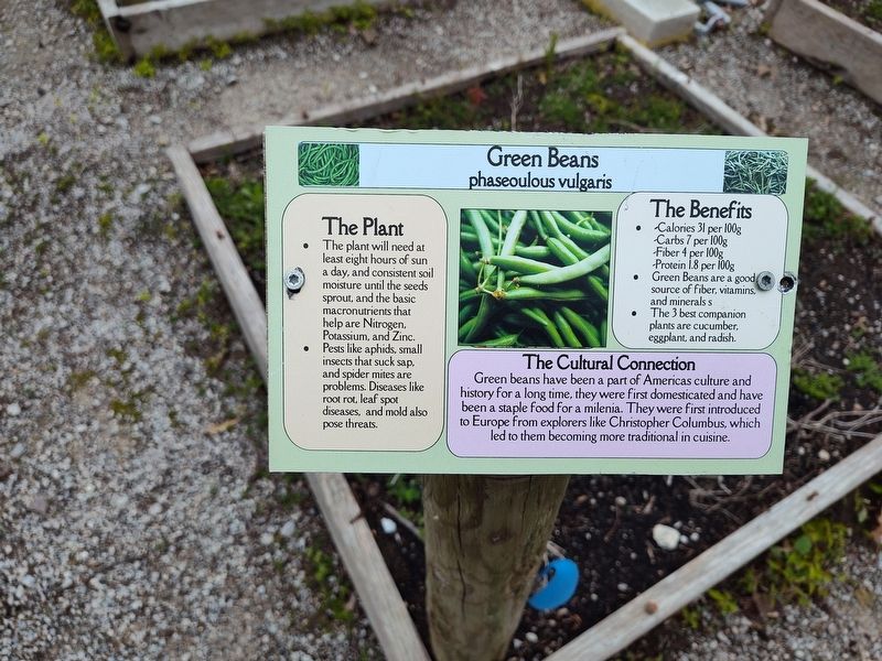 Green Beans Marker. Click for full size. Green Beans Marker image. Click for full size.