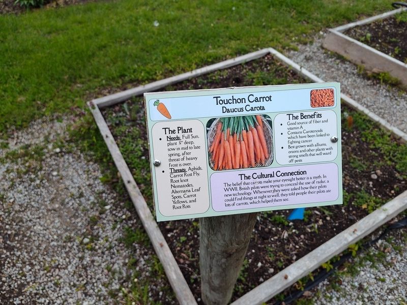 Touchon Carrot Marker. Click for full size. Touchon Carrot Marker image. Click for full size.