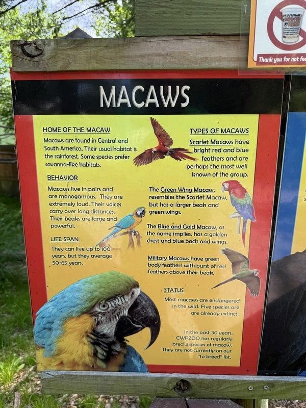 Macaws Marker. Click for full size. Macaws Marker image. Click for full size.