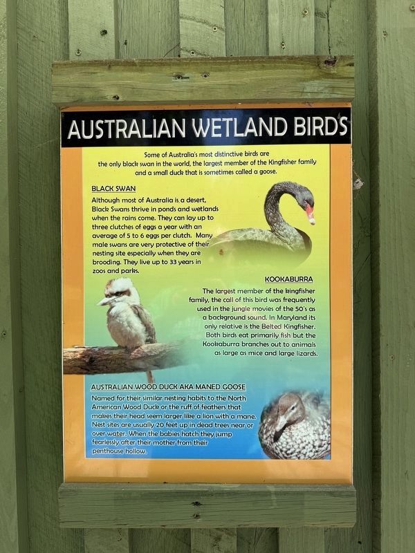 Australian Wetland Birds Marker. Click for full size. Australian Wetland Birds Marker image. Click for full size.