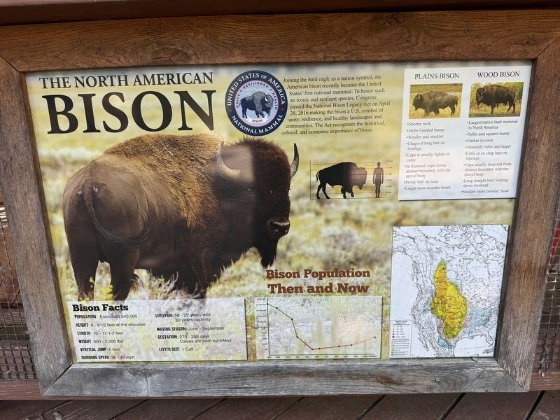 The North American Bison Marker image. Click for full size.