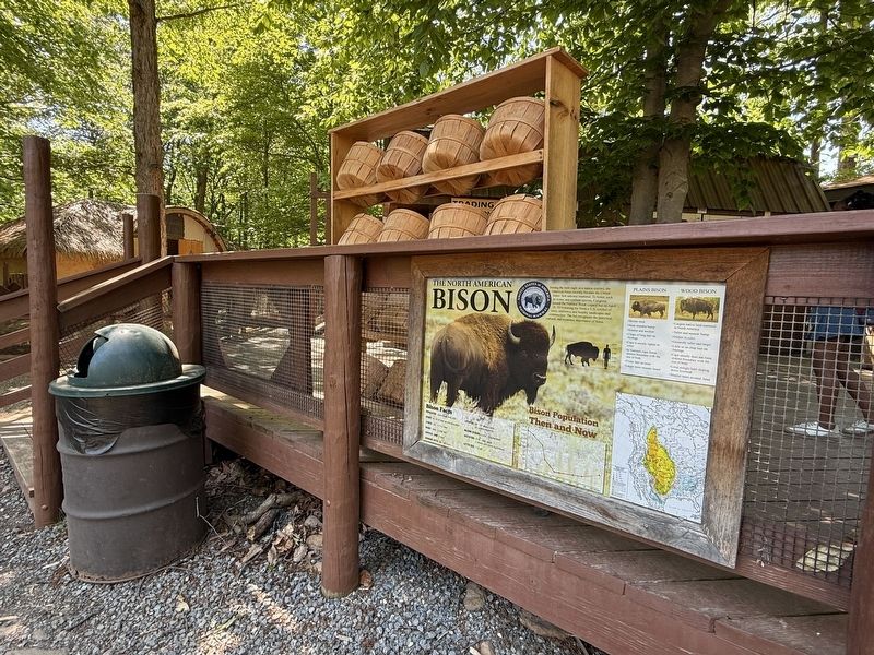 The North American Bison Marker image. Click for full size.