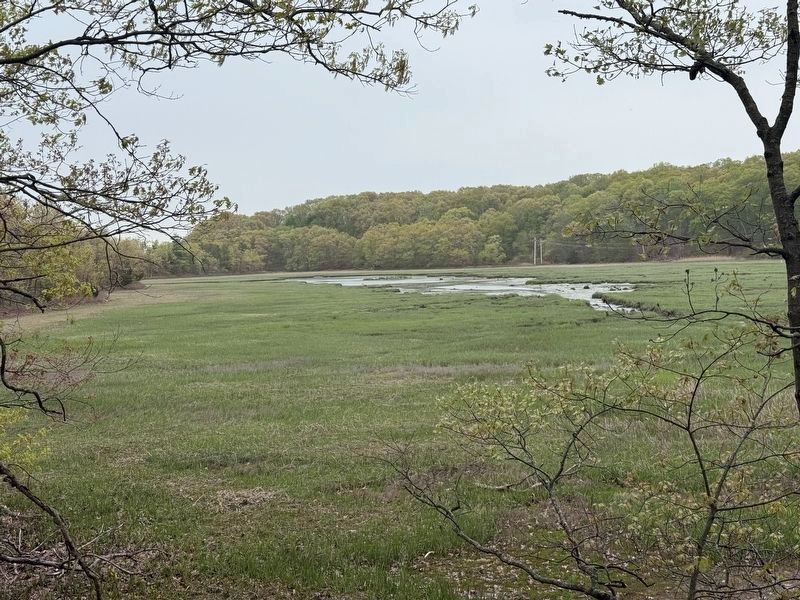Salt Marshes Below the Great Esker image. Click for full size.