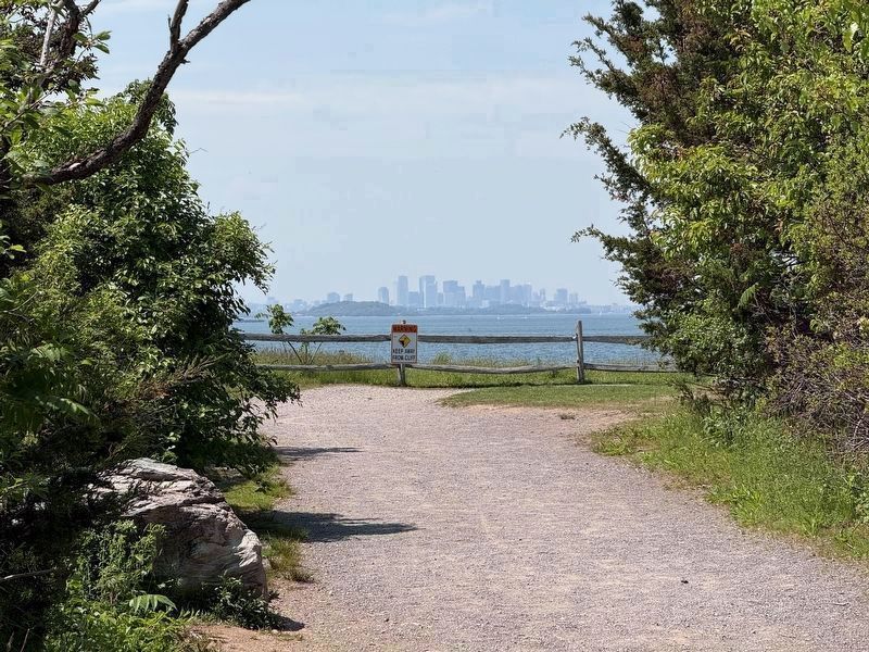 Boston Skyline image. Click for full size.