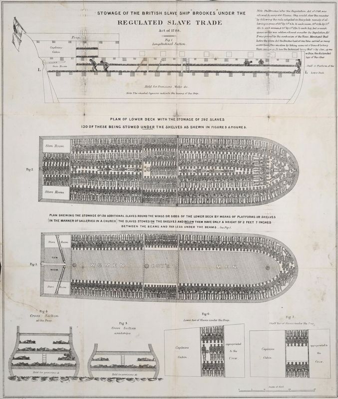 Stowage of the British slave ship Brookes under the regulated slave trade act of 1788 image. Click for full size.