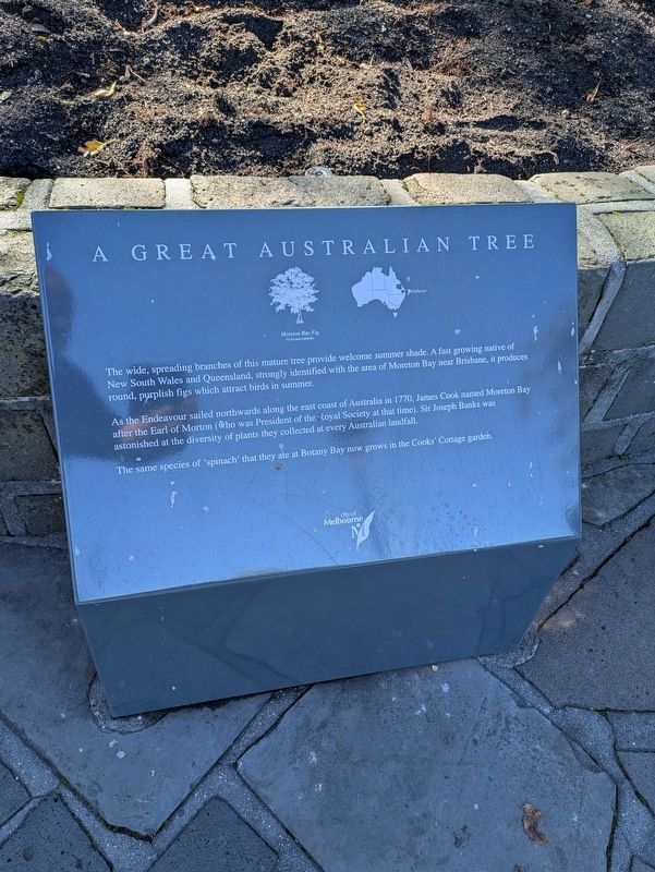 A Great Australian Tree Marker. Click for full size. A Great Australian Tree Marker image. Click for full size.