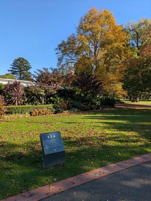 Captain Cook's Pine Marker. Click for full size. Captain Cook's Pine Marker image. Click for full size.