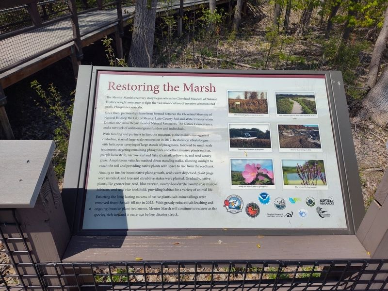 Restoring the Marsh Marker image. Click for full size.