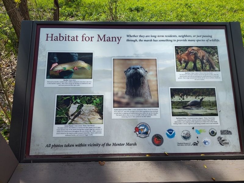 Habitat for Many Marker image. Click for full size.