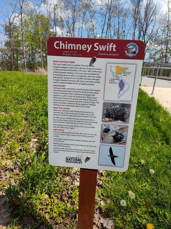 Chimney Swift Marker. Click for full size. Chimney Swift Marker image. Click for full size.
