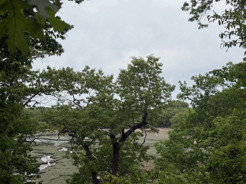Salt Marshes image. Click for full size.